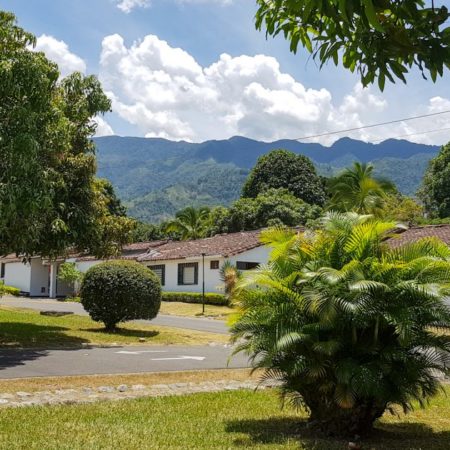 1909-2019-09126505957846052122-1260x630