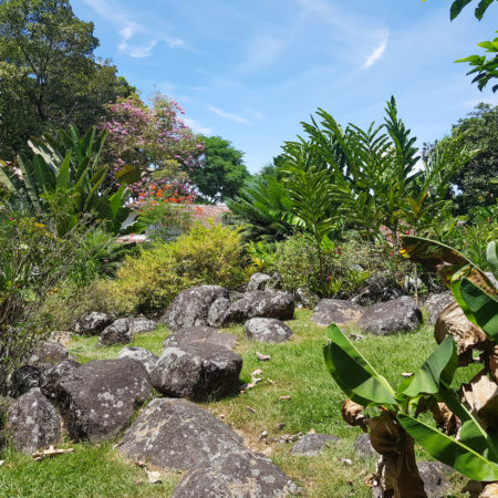 1909-2019-09474815872677117837