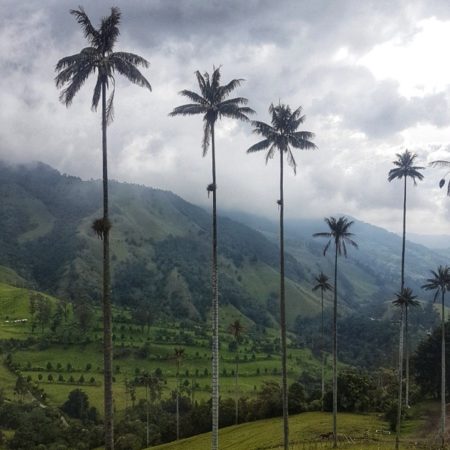 valle-de-cocora-